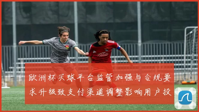 欧洲杯买球平台监管加强与合规要求升级致支付渠道调整影响用户投注体验